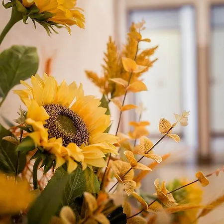 Bed & Breakfast Gorska Dolina Jacuzzi & Sauna