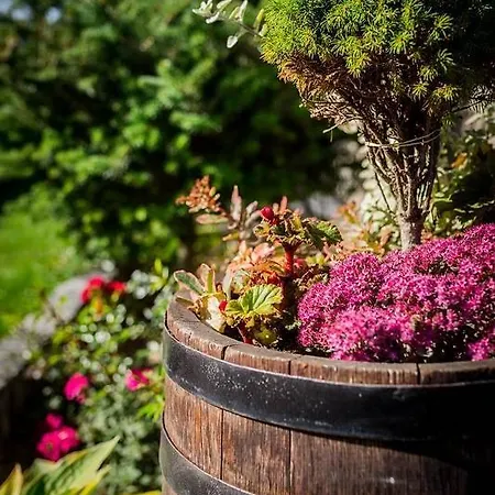 Bed & Breakfast Gorska Dolina Jacuzzi & Sauna Poronin