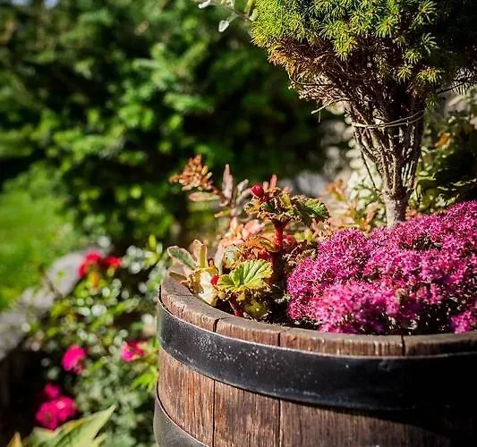 Bed and breakfast Górska Dolina Jacuzzi&sauna Poronin